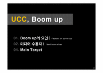 UCC Boom-up(붐업) 문제점 및 해결방안-12