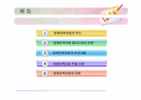 장애인복지법 레포트-2