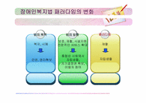 장애인복지법 레포트-5