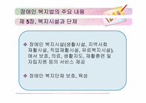 장애인복지법 레포트-10