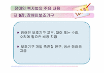 장애인복지법 레포트-11