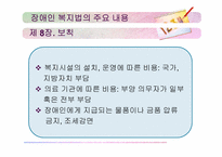 장애인복지법 레포트-13