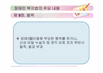 장애인복지법 레포트-14
