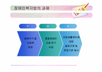 장애인복지법 레포트-18