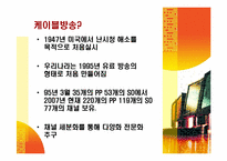 케이블방송의 선정성과 해결방안-3