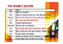 케이블방송의 선정성과 해결방안-4