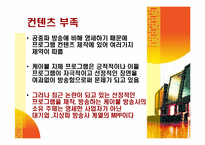케이블방송의 선정성과 해결방안-11