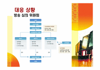 케이블방송의 선정성과 해결방안-17