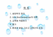 [영유아발달] 생태학적 이론-2