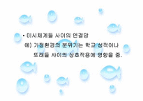 [영유아발달] 생태학적 이론-11
