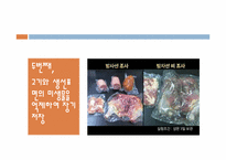 [식품저장학] 스팸 통조림의 저장방법-15
