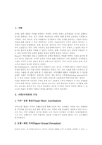 [시각][시지각][미술교육]시각(시지각)의 기능, 시각(시지각)과 미술교육에 대한 인식, 시각(시지각)과 미술교육의 문제점, 시각(시지각)개발을 위한 미술교육의 역할, 시각(시지각)과 미술교육 관련 제언 분석-2