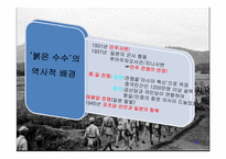 붉은 수수 레포트-10