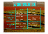 붉은 수수 레포트-13
