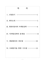 현대자동차 마케팅전략의 문제점과 해결방안 보고서-2