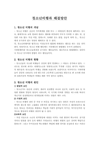 청소년비행과 해결방안-1