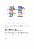 [다리운동]다리에 대한 부분명칭과 운동법-3
