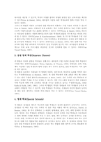 [영재교육과정][영재교육][영재성]영재의 의미 고찰과 영재교육과정의 특징, 영재교육과정의 대상자선발 및 영재교육과정의 방법, 영재교육과정의 모형, 영재교육과정의 운영 그리고 향후 영재교육과정의 방향 분석-11