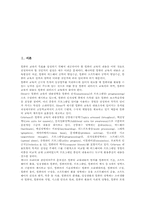 [중학교][중등][컴퓨터교육][컴퓨터교과]컴퓨터교육(컴퓨터교과)의 정의, 중학교(중등) 컴퓨터교육(컴퓨터교과) 성격, 중학교(중등) 컴퓨터교육(컴퓨터교과) 내용과 방법, 중학교(중등) 컴퓨터교육(컴퓨터교과) 운영, 중학교 컴퓨터교육(컴퓨터교과) 평가-2
