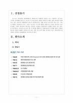 포스코 경영전략의 문제점과 해결방안 보고서-3