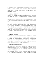 애플 아이폰을 대응하기 위한 국산 스마트폰 전략-3