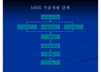 [경영정보시스템] MKIS 기술개발 & KTF CRM 사례-4
