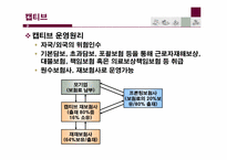 [보험과리스크관리] ART(Active Risk Transfer)대체위험 전가-8