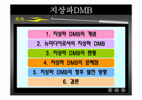 [디지털미디어] 지상파 DMB-2