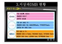 [디지털미디어] 지상파 DMB-13