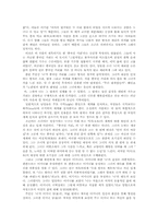 [현대소설][작품분석] 오정희의 중국인 거리-4