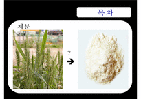 [식음료가공관리] 곡류 및 밀의 가공(밀 가공 및 가공품)-3