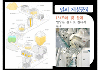 [식음료가공관리] 곡류 및 밀의 가공(밀 가공 및 가공품)-8
