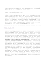 [생물학] 미토콘드리아의 생리-6