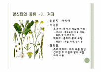 [식음료가공관리] 향신료-13
