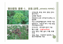 [식음료가공관리] 향신료-16
