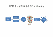 [생물학] 제2형 당뇨와 미토콘드리아 대사-3