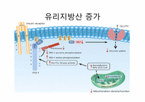 [생물학] 제2형 당뇨와 미토콘드리아 대사-8