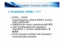 [생물학] Mitochondria & cell cycle(세포주기 조절)-9
