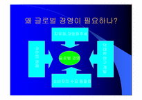 [기업경영] 글로벌 경영-8