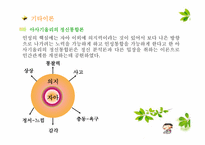 [유아교육] 행동수정이론-8