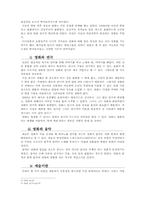 [영상예술의이해] 영화 인정사정 볼 것 없다 작품분석-2