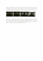 [영상예술의이해] 영화 LEON(레옹) 작품분석-15