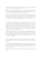 [국제사회학] 슬럼화 원인에 관한 분석-5
