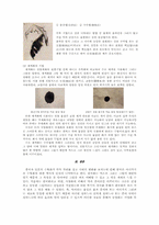[미술]한국화의 회화양식-3