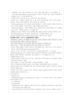 [아동발달과 학습] 아동의 인지적 발달-5