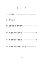 동화약품 경영전략의 문제점과 해결방안 보고서-2