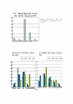 부산 불꽃축제 소개 및 설문지 조사-19