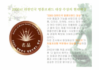 현대해상 하이카 광고 전략-14