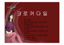 크로커다일 마케팅전략-1