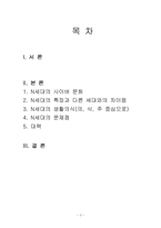 정보화 시대의 주역 N세대-3